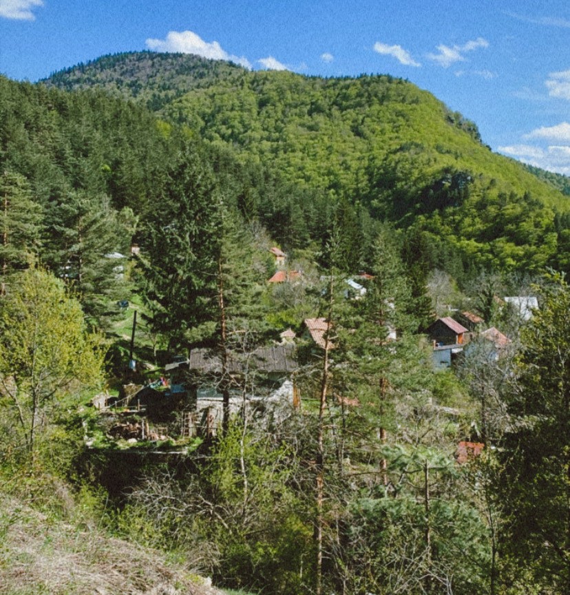 Plochnik, Boykovo, Rodopi